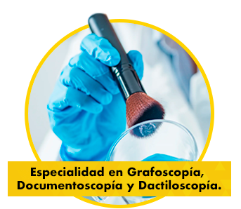 LCCyTP no escolarizada