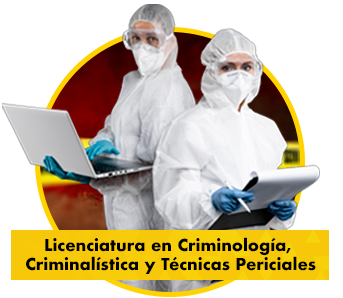 LCCyTP no escolarizada